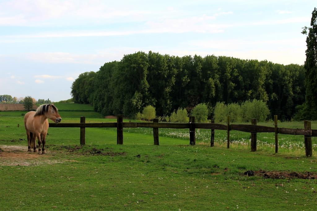 B&B Laurus Ieper Exteriér fotografie